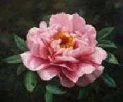 unknow artist Realistic Pink Rose oil painting picture wholesale